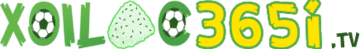 chuyển nhượng mu 24h